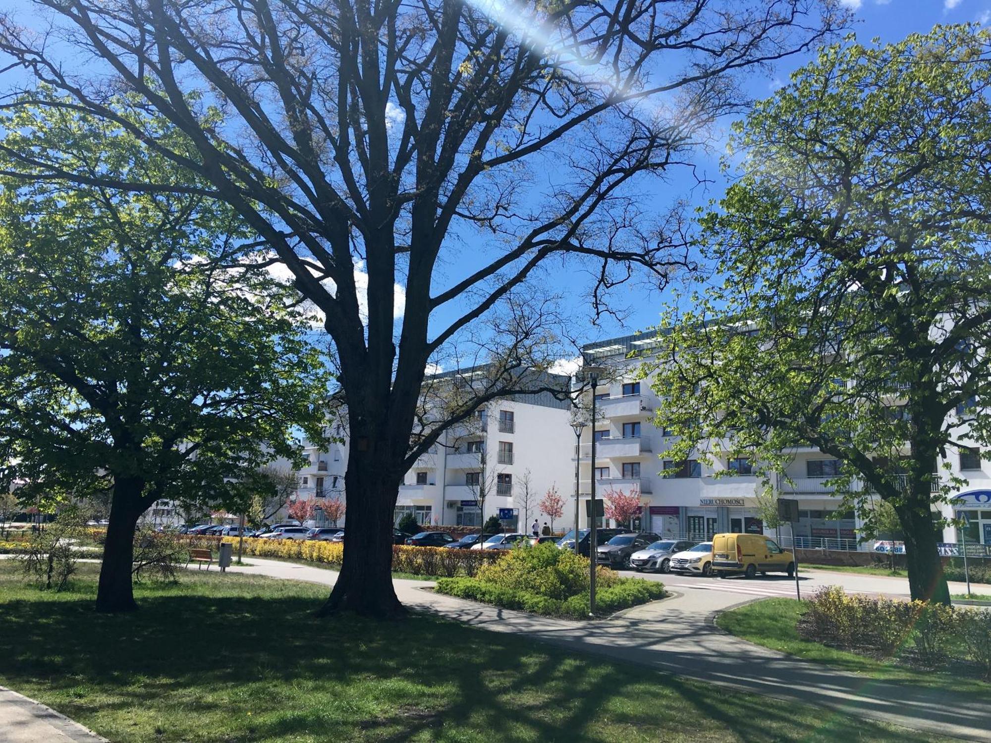 Apartamenty Platan - Visitopl Świnoujście Екстериор снимка